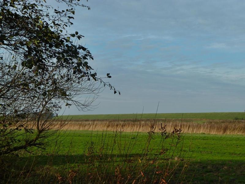 Deichbrise Villa Greetsiel Exteriör bild